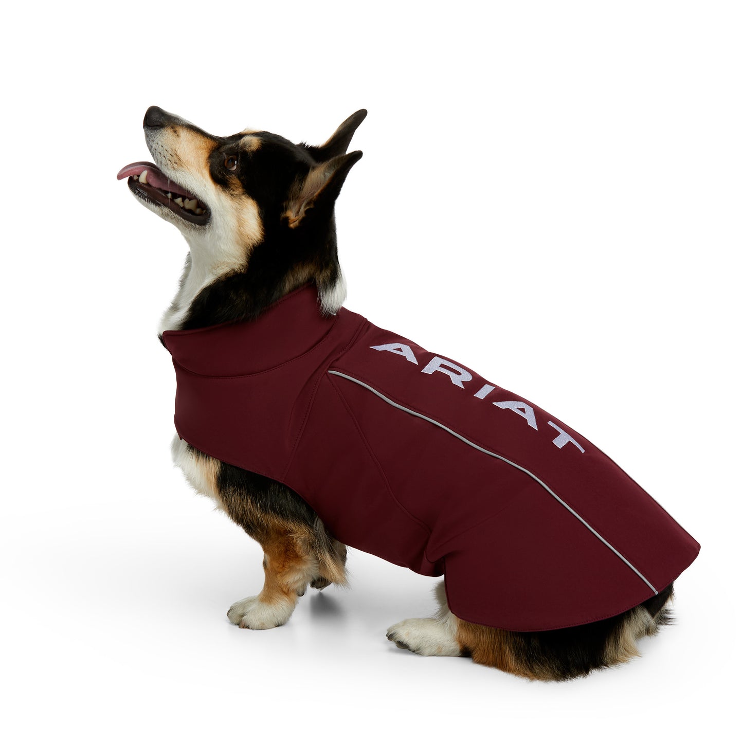 Ariat® Team Softshell Windsor Wine Dog Jacket 10038219