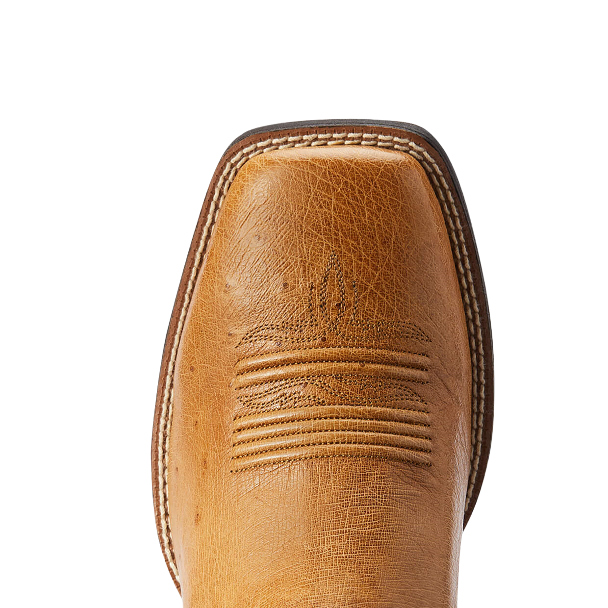 Ariat® Men's Saddle SQ  & Georgian Bay Square Toe Boots 10042472