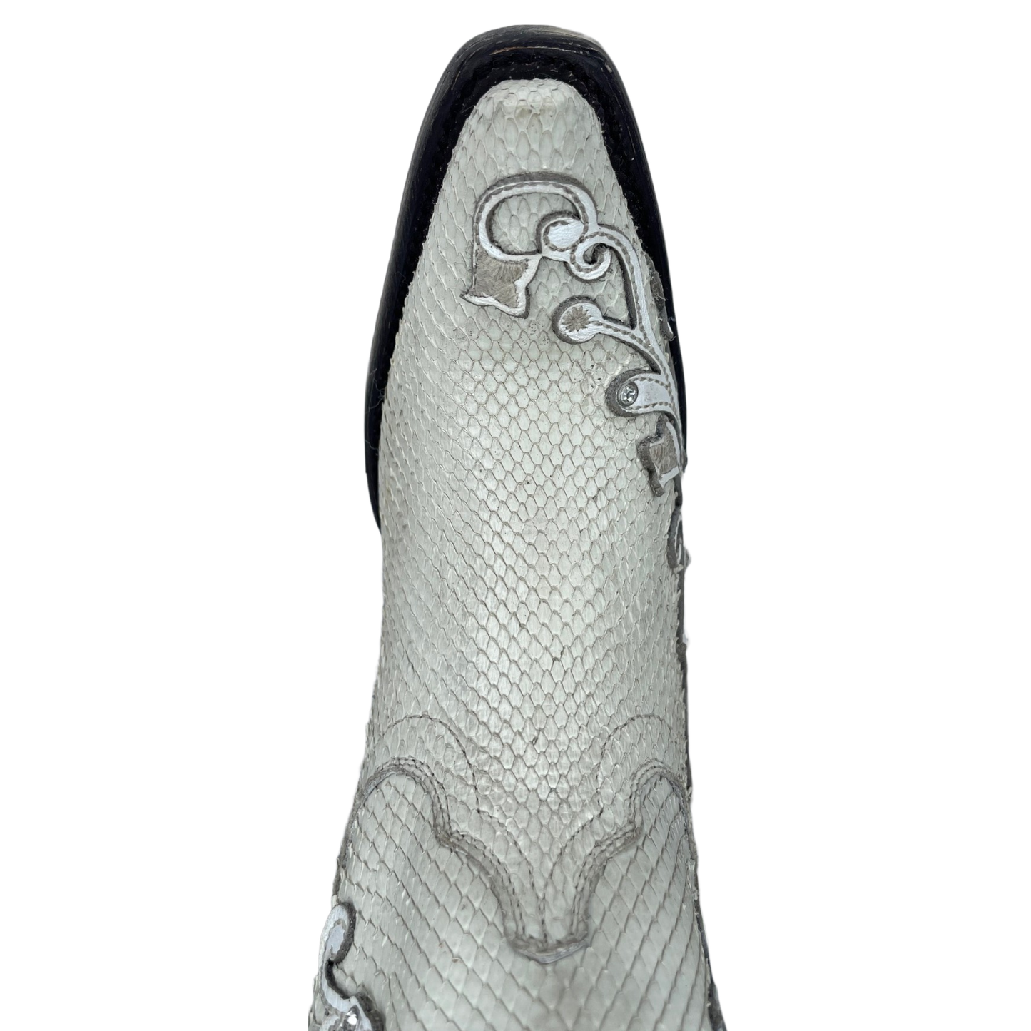 Python Embroidary Founder's Favorites Anna