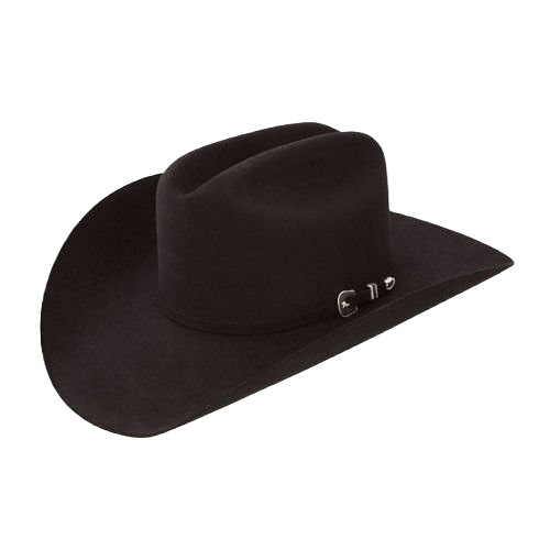 Resistol City Limits 6X Black Fur Felt Cowboy Hat RFCTLM-754007