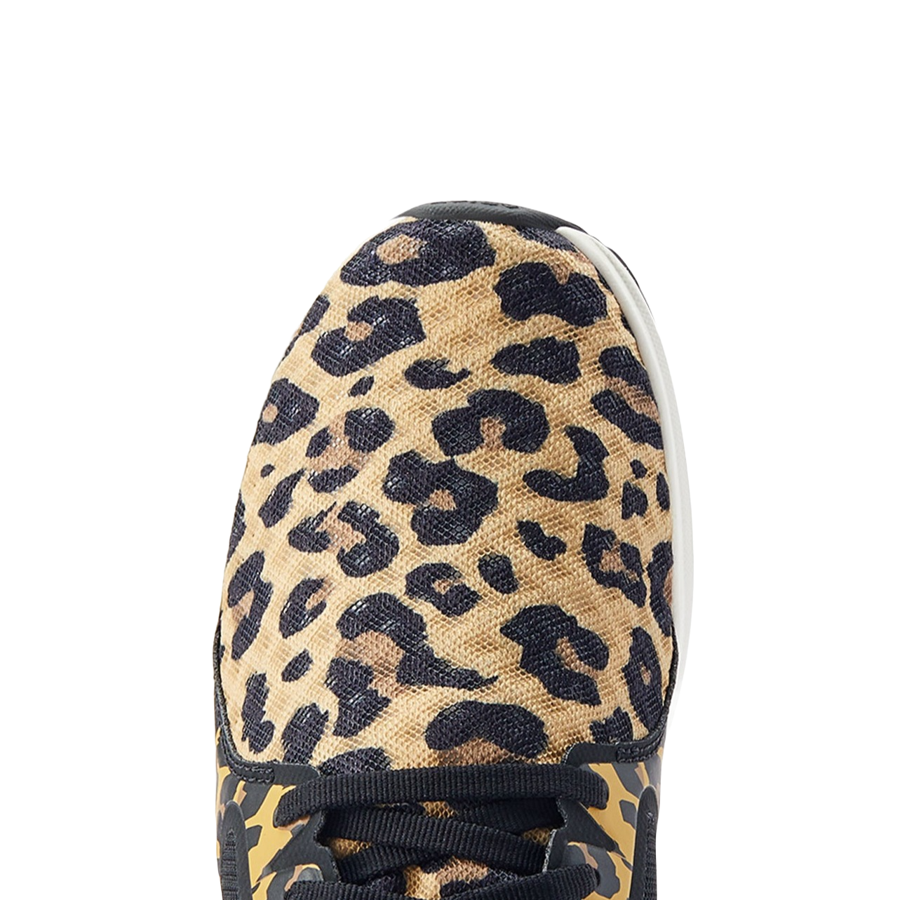 Load image into Gallery viewer, Ariat® Ladies Fuse Leopard Print Lace Up Shoes 10044489
