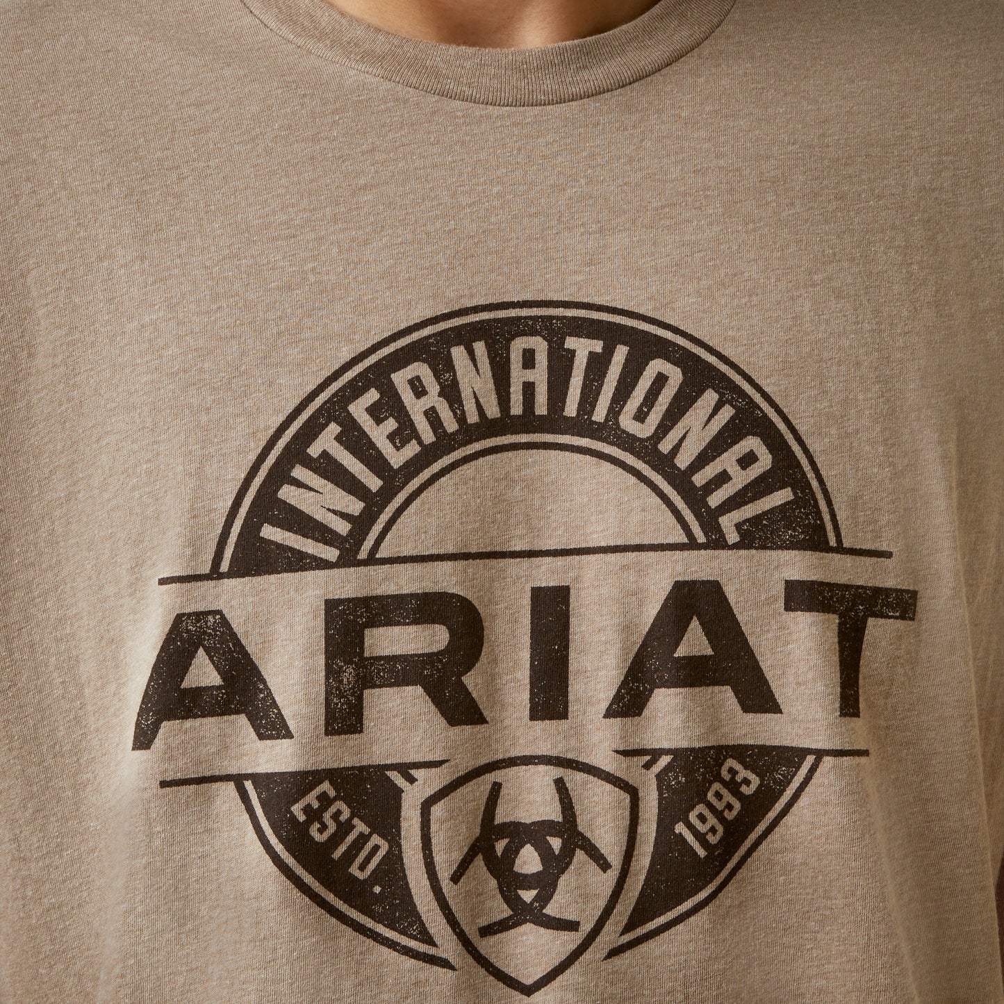 Ariat® Men's Oatmeal Heather Center Fire Graphic T-Shirt 10045285