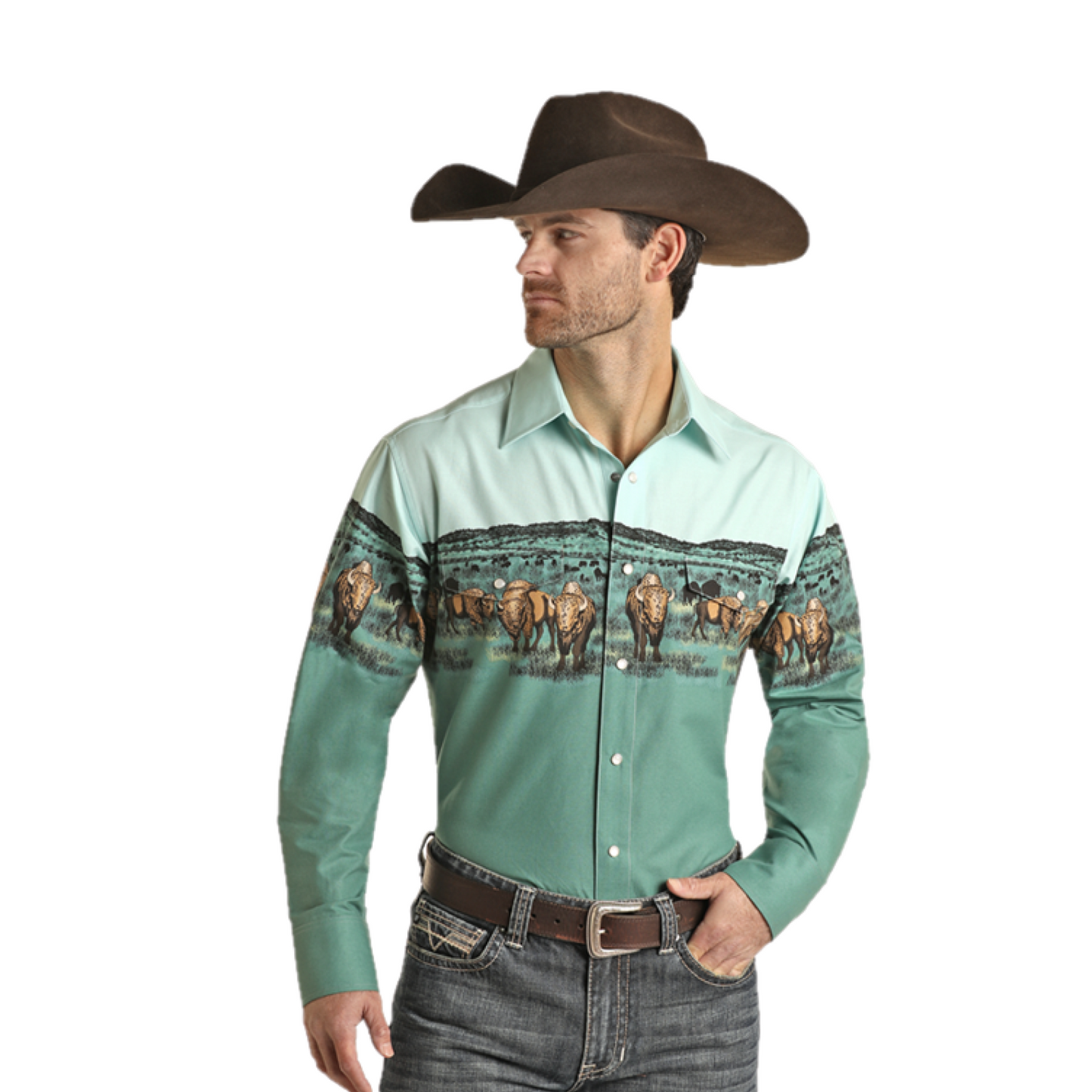 Rock & Roll Denim Men's Buffalo Border Emerald Button Down Shirt SMN2S02452