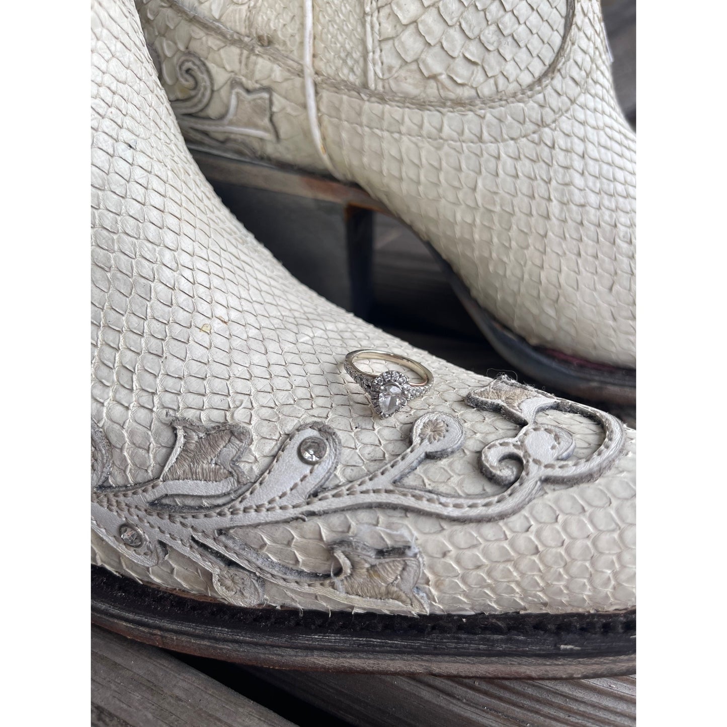 Python Embroidary Founder's Favorites Anna